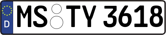 MS-TY3618