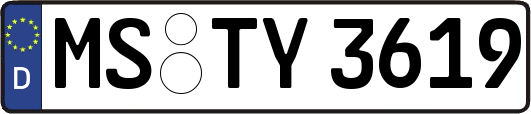 MS-TY3619