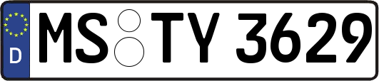 MS-TY3629
