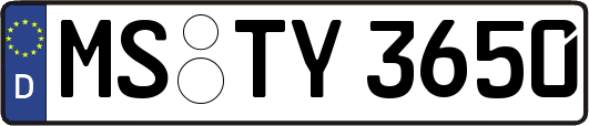 MS-TY3650