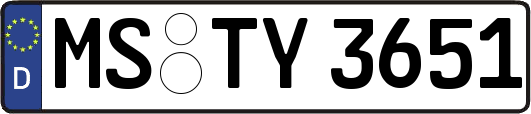 MS-TY3651