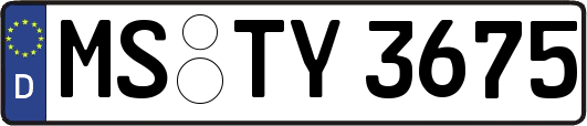 MS-TY3675