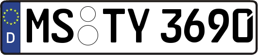 MS-TY3690