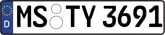 MS-TY3691