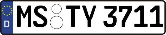 MS-TY3711