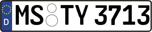 MS-TY3713