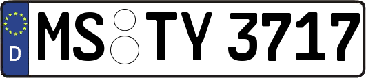 MS-TY3717