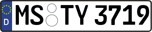 MS-TY3719