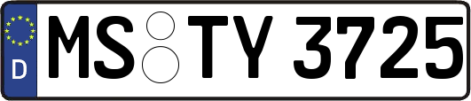 MS-TY3725