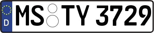 MS-TY3729