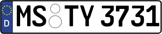 MS-TY3731