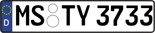MS-TY3733