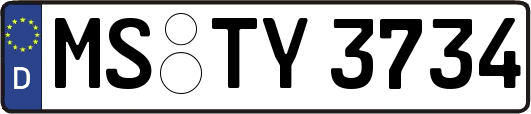 MS-TY3734