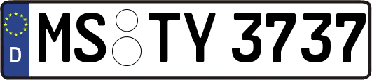 MS-TY3737