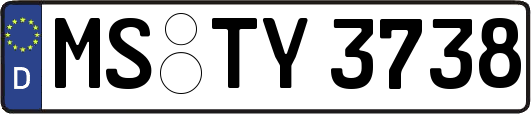 MS-TY3738
