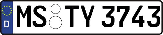 MS-TY3743