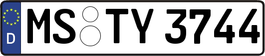 MS-TY3744
