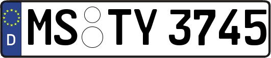 MS-TY3745