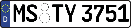 MS-TY3751