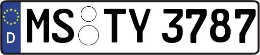 MS-TY3787