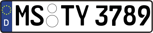 MS-TY3789