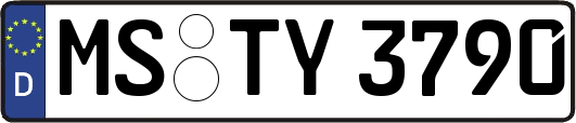 MS-TY3790