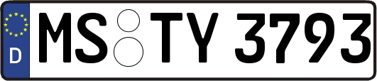 MS-TY3793