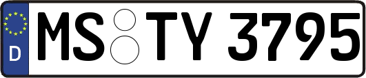 MS-TY3795