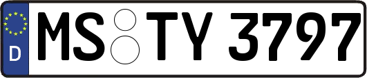 MS-TY3797