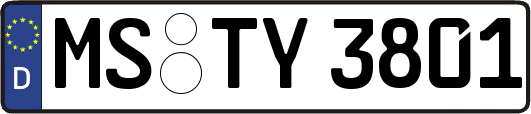 MS-TY3801