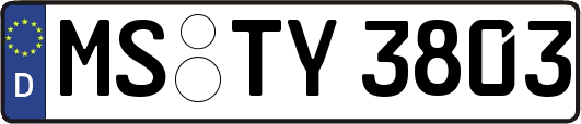 MS-TY3803