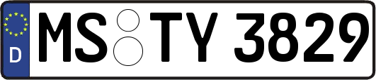 MS-TY3829