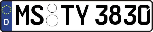 MS-TY3830