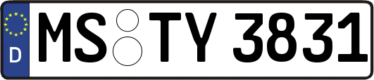 MS-TY3831