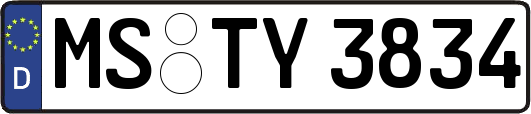 MS-TY3834