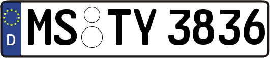 MS-TY3836
