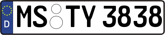 MS-TY3838