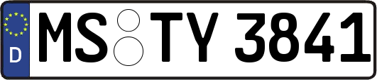 MS-TY3841