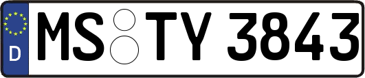 MS-TY3843