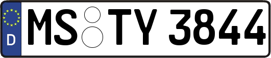 MS-TY3844