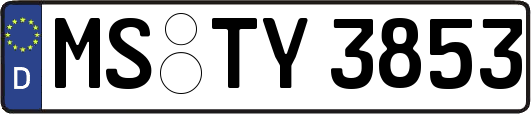 MS-TY3853