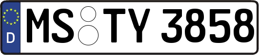 MS-TY3858