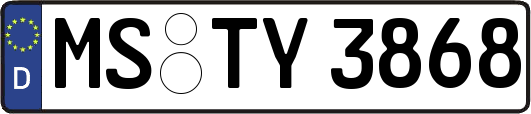 MS-TY3868