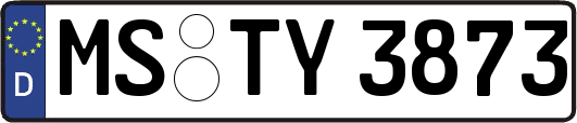 MS-TY3873