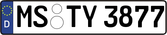 MS-TY3877