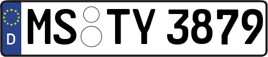 MS-TY3879