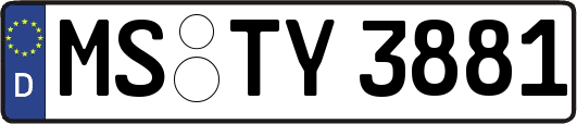 MS-TY3881