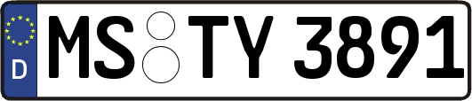 MS-TY3891