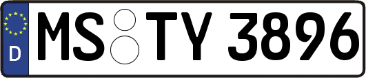 MS-TY3896