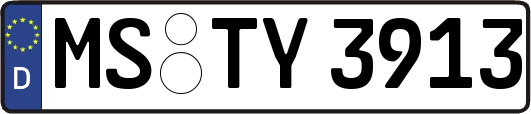 MS-TY3913